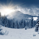 Landscape Winter Wall Art