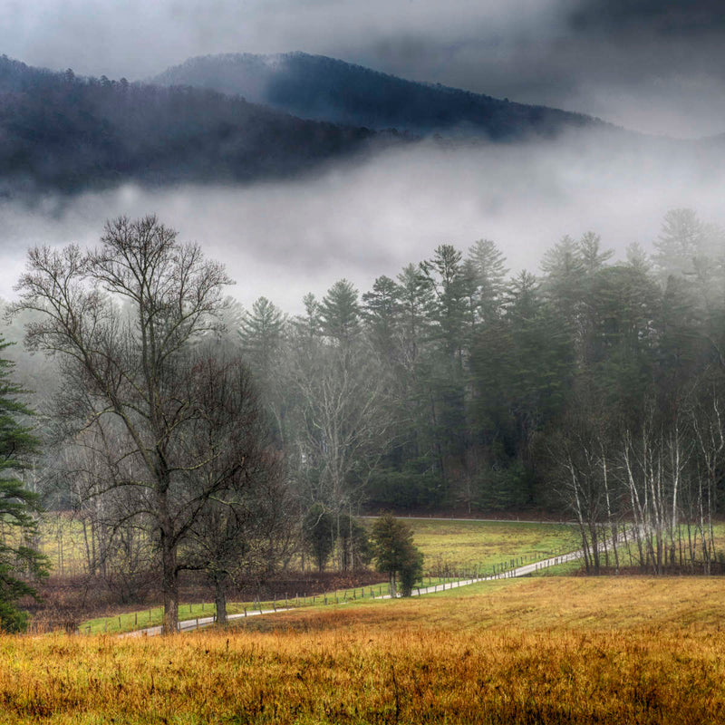 Cades Cove Fields Mist Wall Art