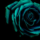 Green Flower Wall Art