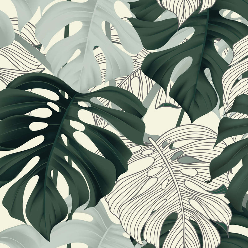 Jungle Monstera Leaves Wall Art