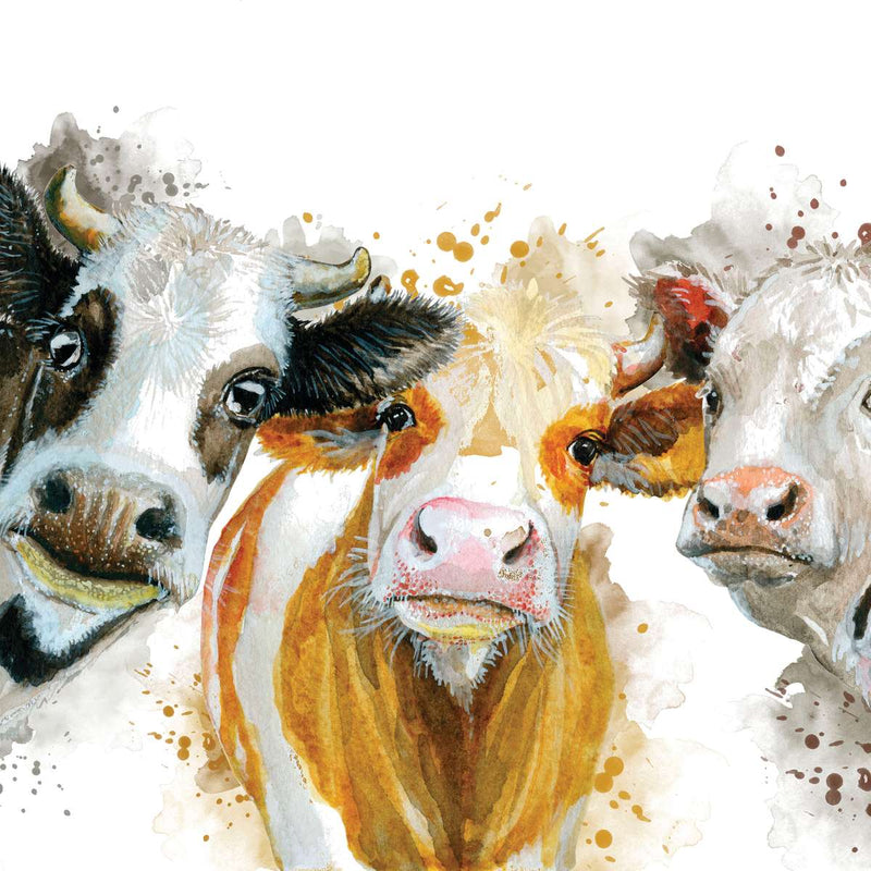 Livestock Cows Splash Wall Art