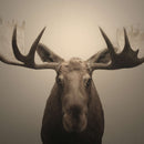 Moose Portrait Wall Art