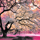 Pink Bloom Claw Trees Wall Art