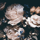 Exquisite Peonies Wall Art