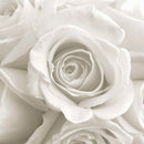 Pure White Roses Wall Art