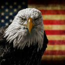Eagle And Flag Of America Wall Art