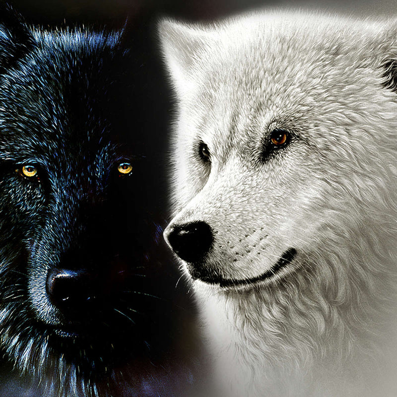 Tale Of Two Wolves Wall Art