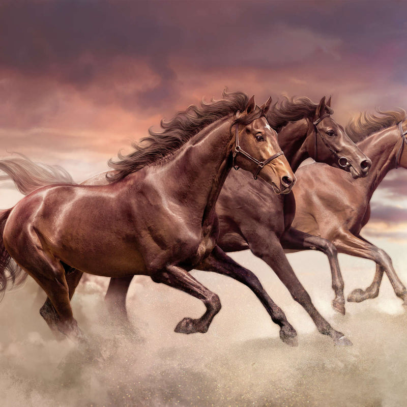 Three Running Horses Wall Art