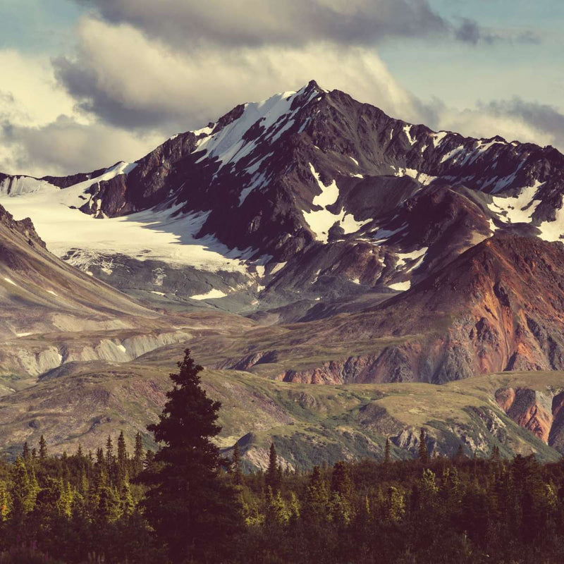 Alaskan Mountains Wall Art