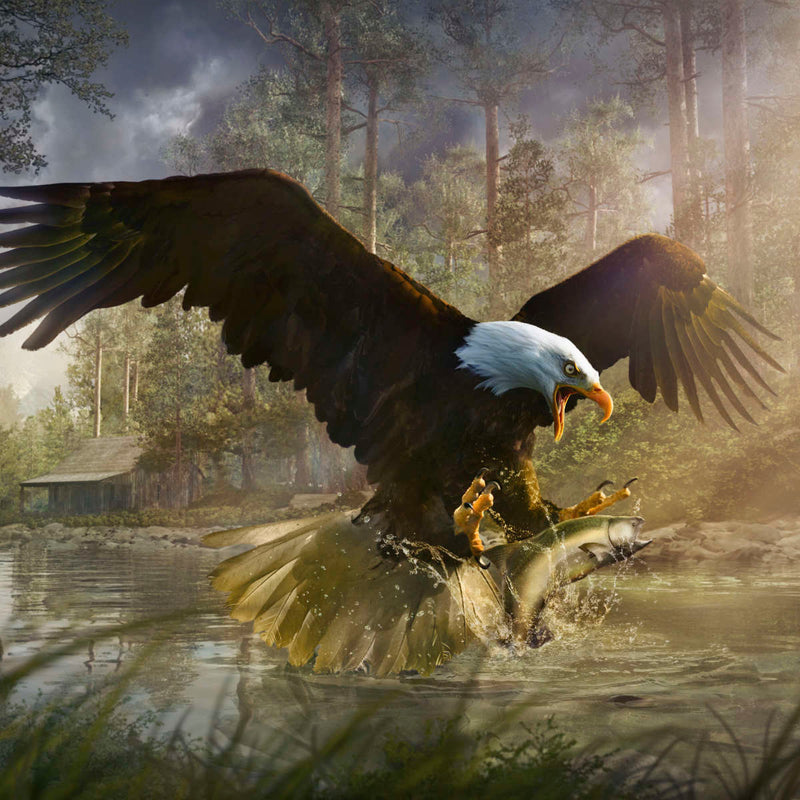 Bald Eagle Catching Fish Wall Art