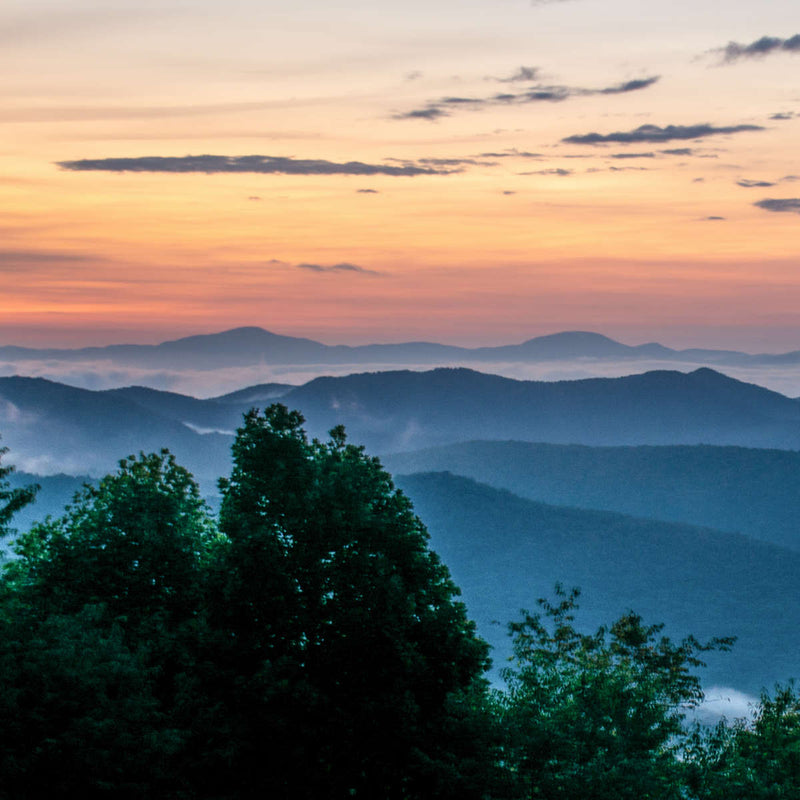 Blue Ridge Wall Art