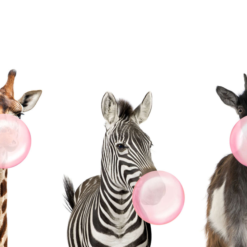 Bubble Gum Safari Animals Wall Art