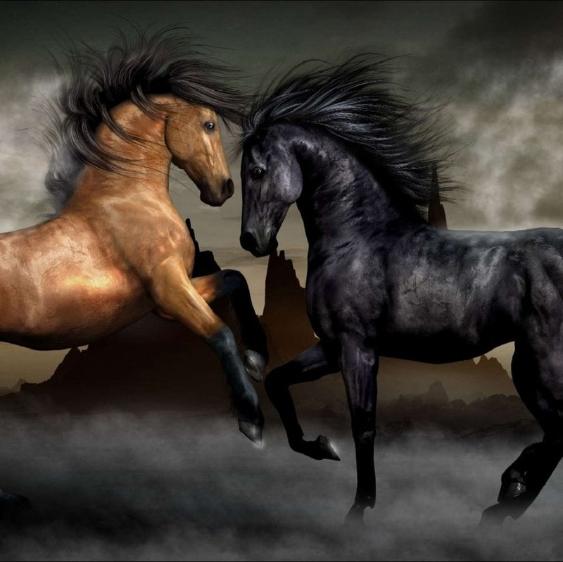 Clashing Wild Horses Wall Art