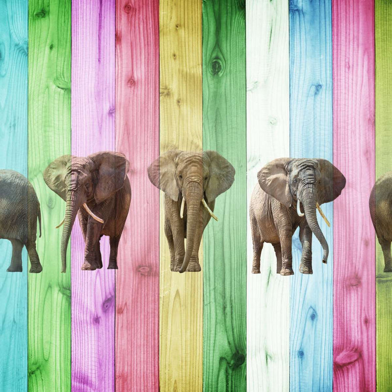 Color Stripe Elephants