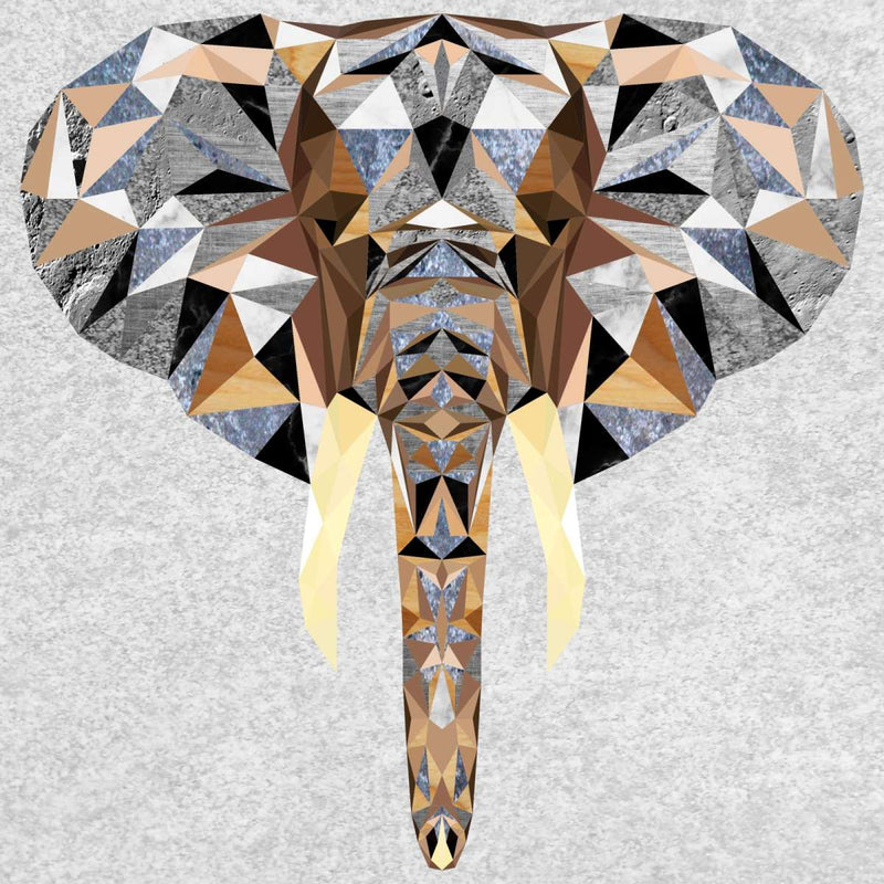 Geometric Colorful Elephant Wall Art