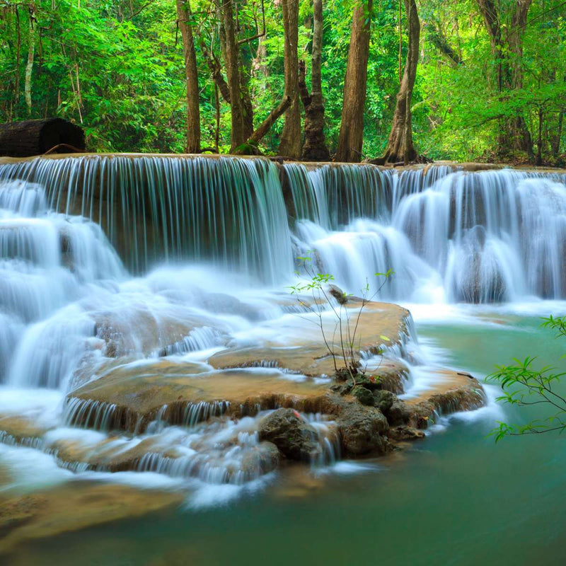 Kanchanaburi Deep Forest Waterfall Wall Art