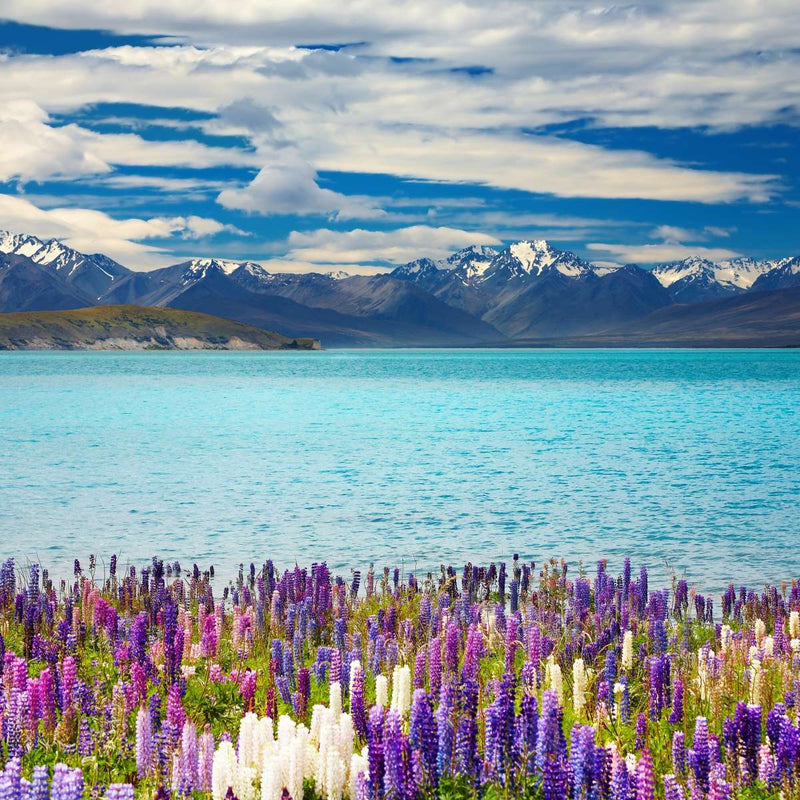 Lake Tekapo Mountain Wall Art