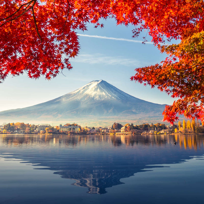 Mount Fuji Autumn Wall Art