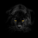 Rare Black Panther Wall Art