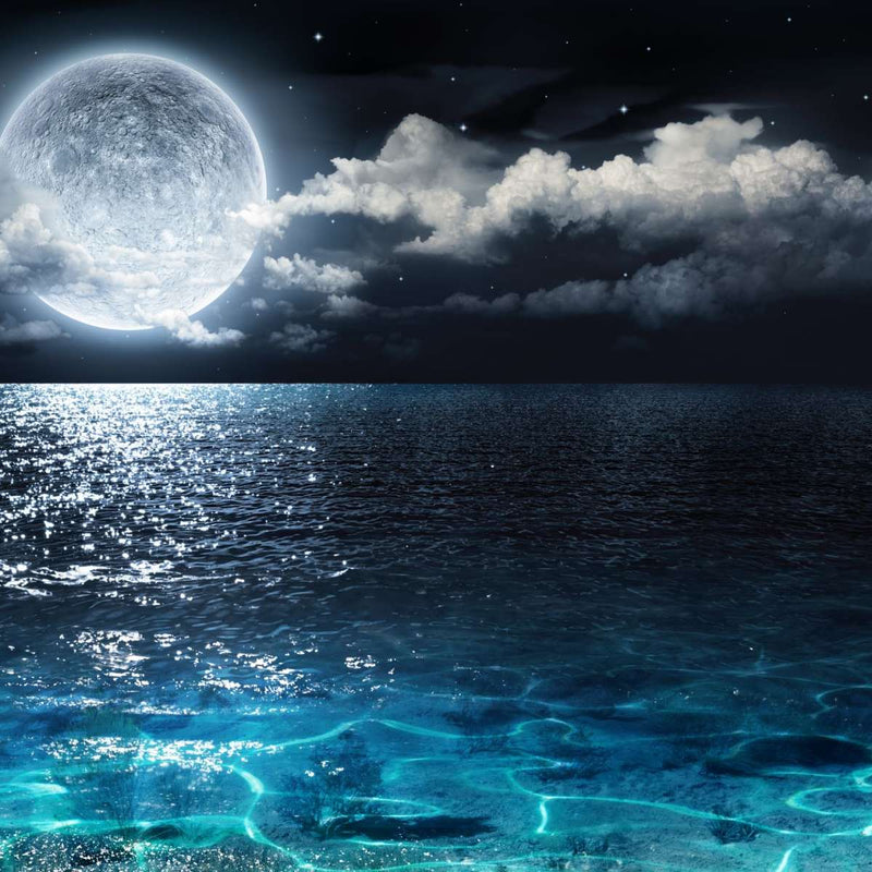 Romantic Full Moon Wall Art