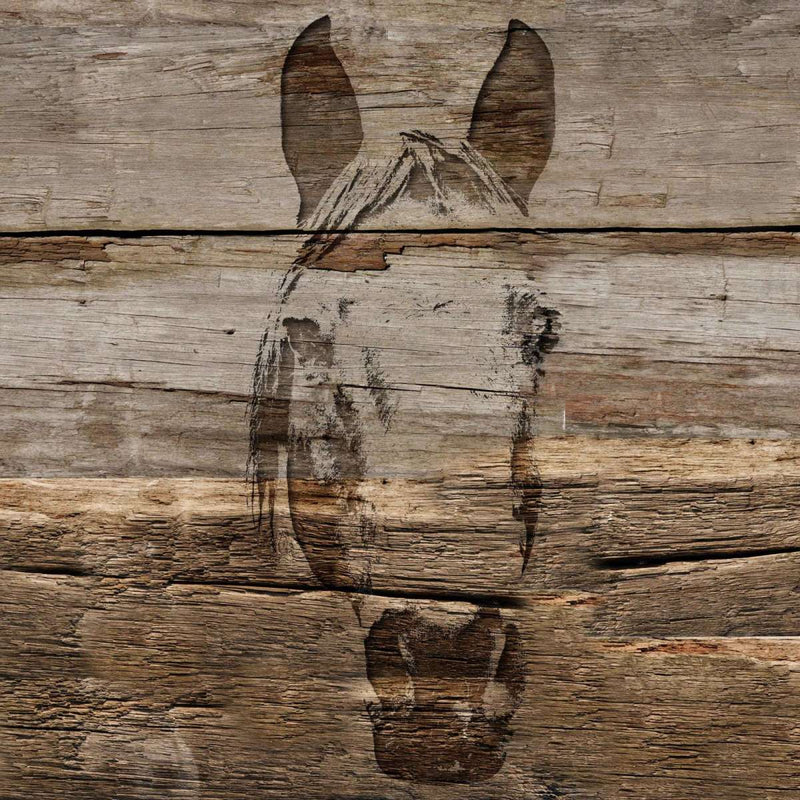 Rustic Horse Wall Art