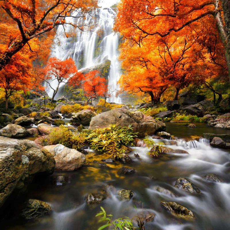 Stunning Autumn Waterfall Wall Art