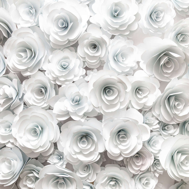 White Roses Wall Art