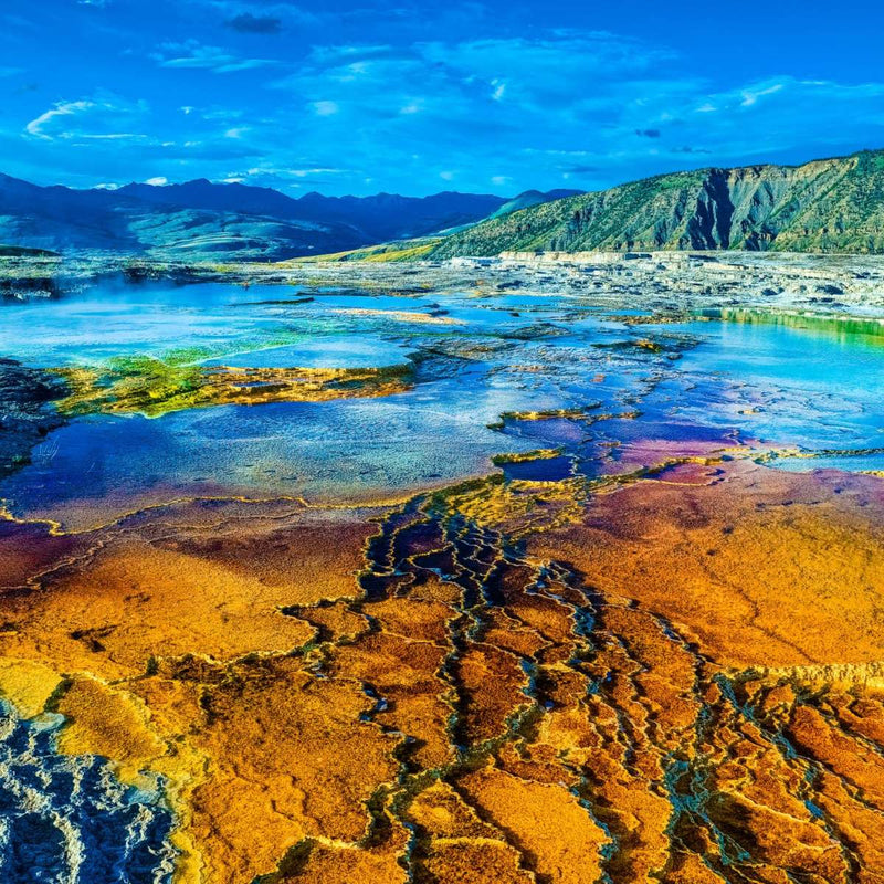 Yellowstone Mammoth Hot Springs Wall Art