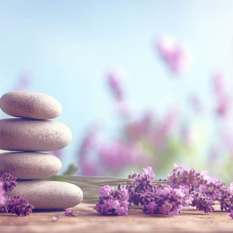 Zen Lavender Wall Art