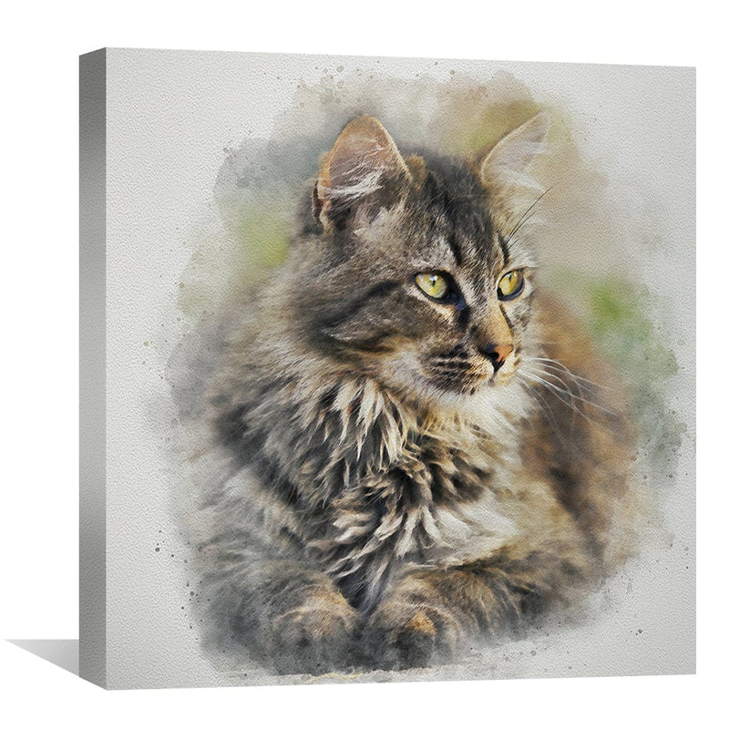 Maine Coon Cat Canvas