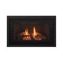 Majestic Jasper 30-Inch Direct Vent Natural Gas Insert [JASPER30IN] (SAK21396)
