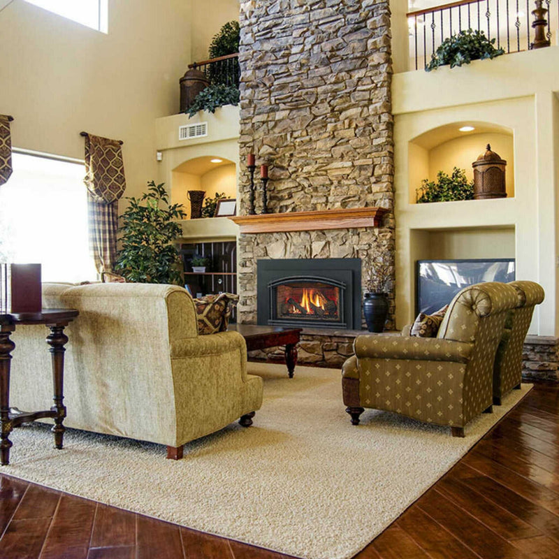 Majestic Trilliant 25" Direct Vent Gas Fireplace Insert [TRILLIANT25IN] (SAK95713)