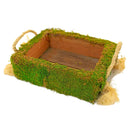 Make Your Own Succulent Planter Box by Lee Display