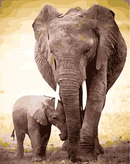 Father and Son Mammoths