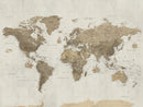 Detailed World Map Wall Art Canvas Print