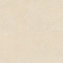 Marfil Mood Polished Marble Look Porcelain Tiles 24x24