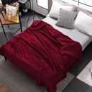 GobekUsa Cozy Plush Blanket: Soft, Warm, Lightweight for Bedroom & Sofa All Seasons