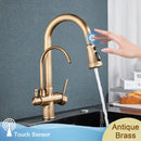 GobekUsa Black Dual Modes Kitchen Faucet 2 in 1 Pure Water Mixer Tap