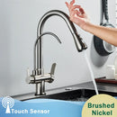 GobekUsa Black Dual Modes Kitchen Faucet 2 in 1 Pure Water Mixer Tap