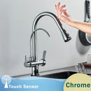 GobekUsa Black Dual Modes Kitchen Faucet 2 in 1 Pure Water Mixer Tap