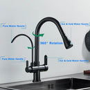 GobekUsa Black Dual Modes Kitchen Faucet 2 in 1 Pure Water Mixer Tap