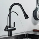 GobekUsa Black Dual Modes Kitchen Faucet 2 in 1 Pure Water Mixer Tap