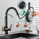 GobekUsa Black Dual Modes Kitchen Faucet 2 in 1 Pure Water Mixer Tap