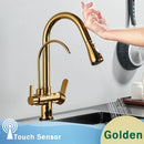 GobekUsa Black Dual Modes Kitchen Faucet 2 in 1 Pure Water Mixer Tap