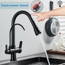 GobekUsa Black Dual Modes Kitchen Faucet 2 in 1 Pure Water Mixer Tap