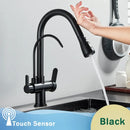 GobekUsa Black Dual Modes Kitchen Faucet 2 in 1 Pure Water Mixer Tap