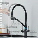 GobekUsa Dual Spout Kitchen Faucet with Water Purification and Flexible Rotation