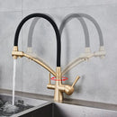 GobekUsa Dual Spout Kitchen Faucet with Water Purification and Flexible Rotation