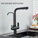 GobekUsa Black 2-in-1 Purification Kitchen Faucet with Flexible Pull Out Nozzle