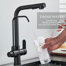 GobekUsa Black 2-in-1 Purification Kitchen Faucet with Flexible Pull Out Nozzle